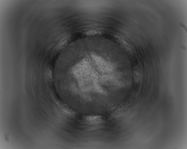 X0000092210375200710121134