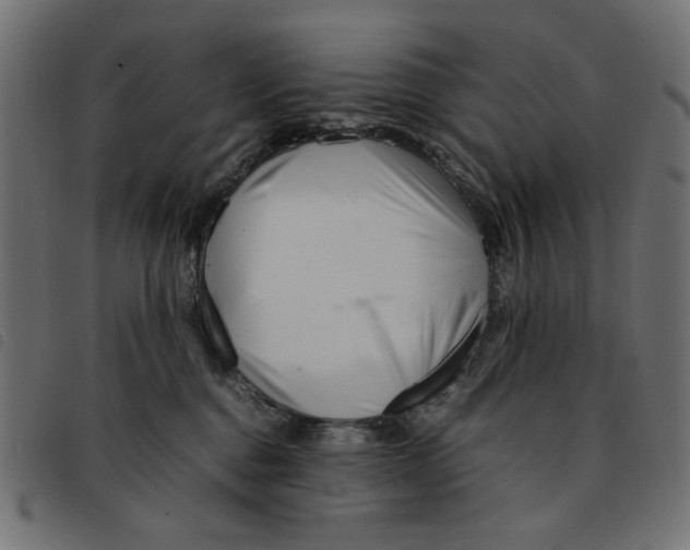 X0000092210376200710121134