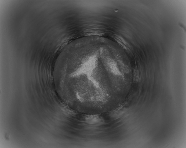 X0000092210377200710121134