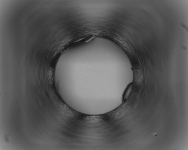 X0000092210378200710121134