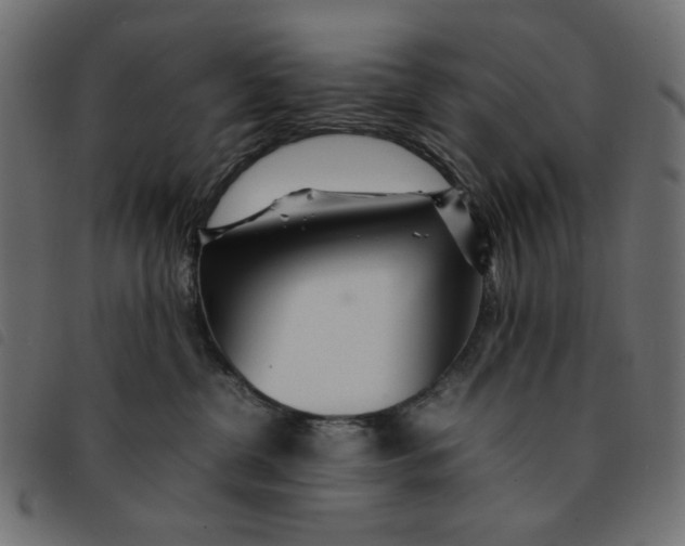 X0000092210380200710121134