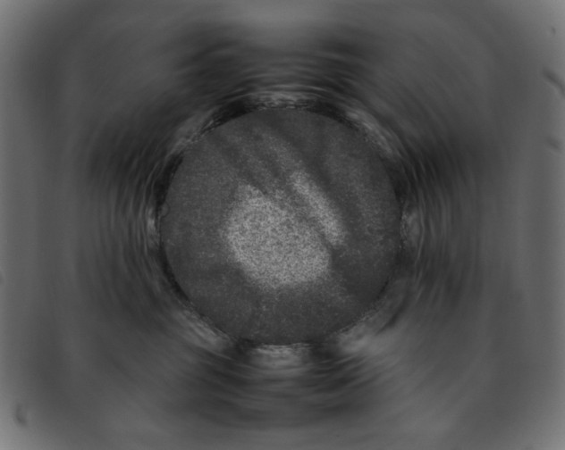 X0000092210381200710121134