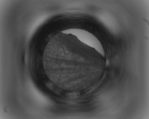 X0000092210383200710121134