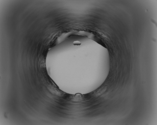 X0000092210384200710121134