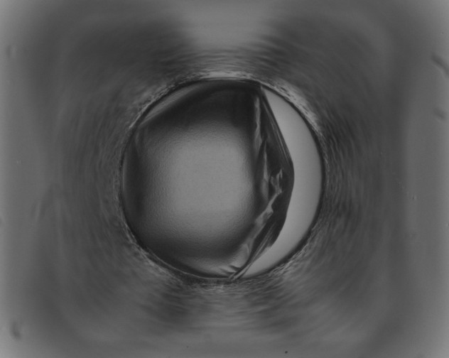 X0000092210385200710121133