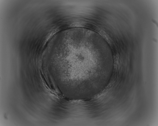X0000092210386200710121133