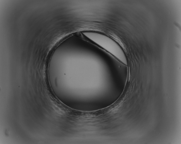 X0000092210387200710121133