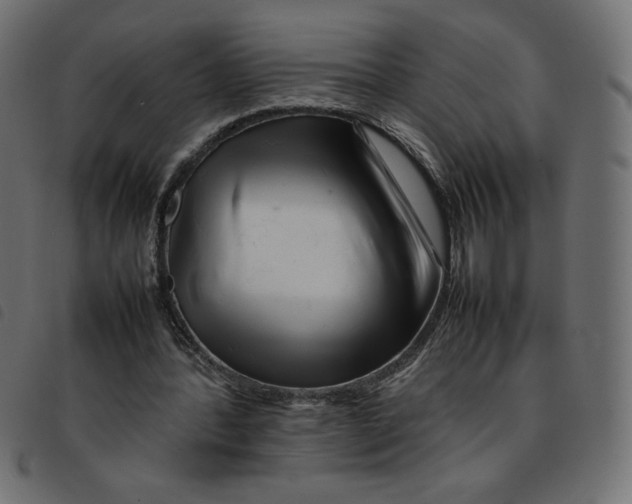 X0000092210388200710121133