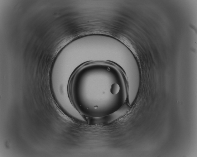 X0000092210389200710121133
