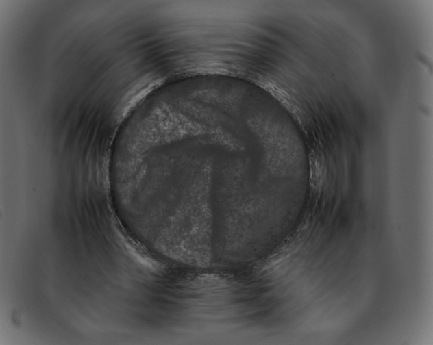 X0000092210390200710121133