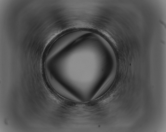X0000092210391200710121133