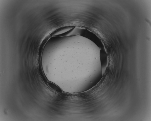 X0000092210392200710121133