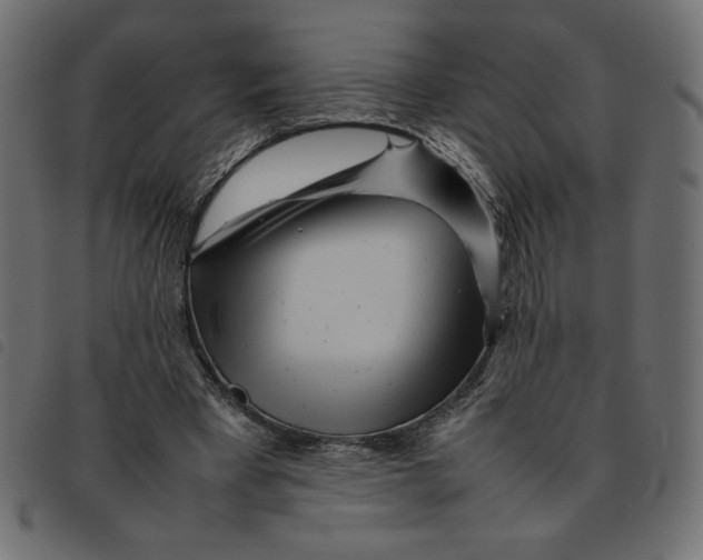 X0000092210393200710121133