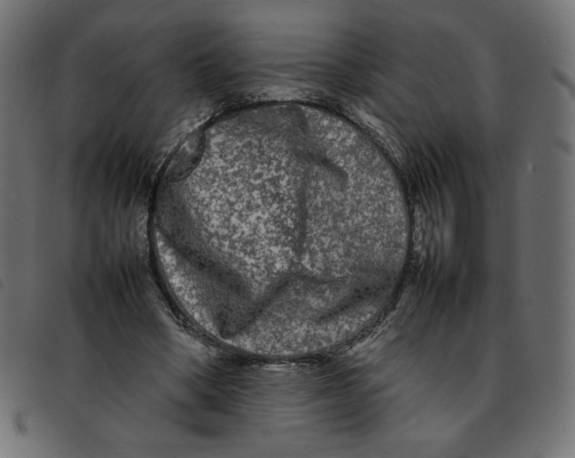 X0000092210394200710121133