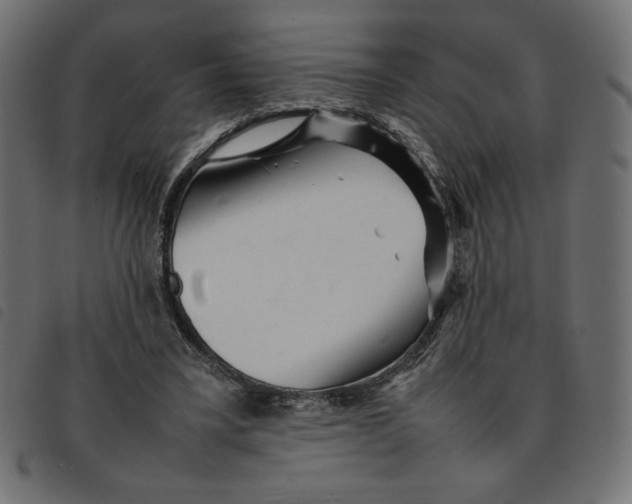X0000092210395200710121133