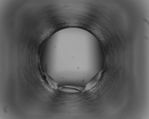 X0000092210397200710121133