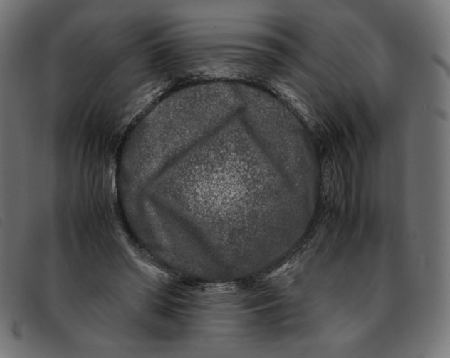 X0000092210398200710121133