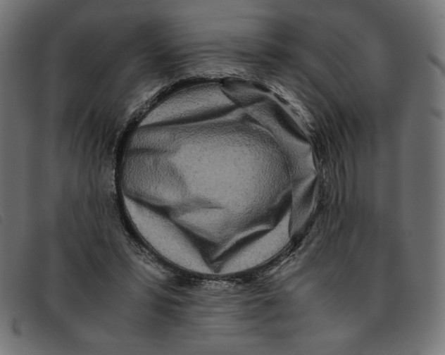 X0000092210399200710121133