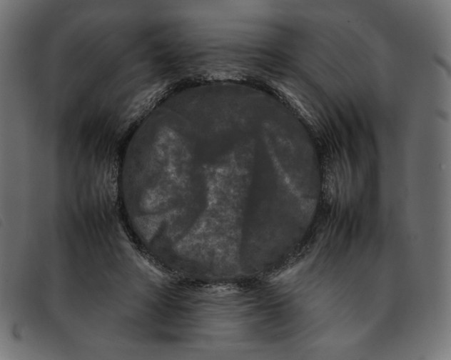 X0000092210402200710121133
