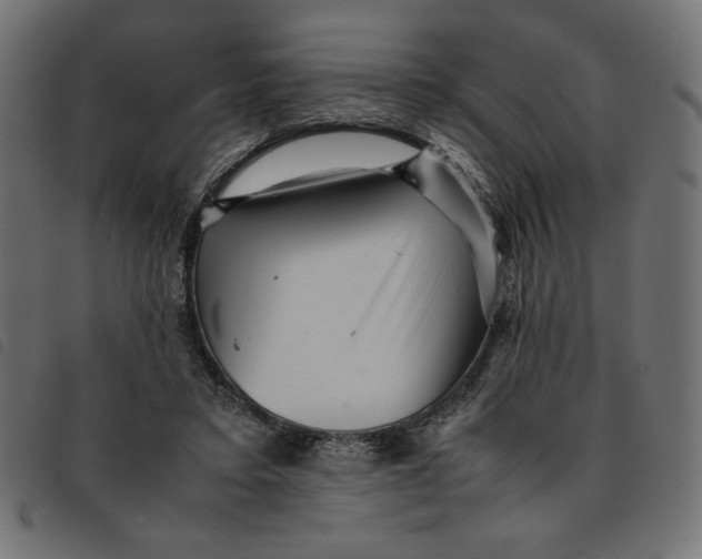 X0000092210403200710121133