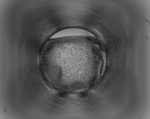 X0000092210405200710121133