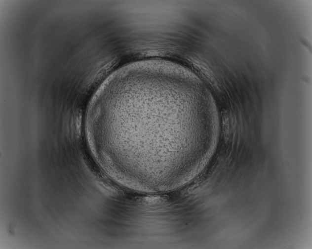 X0000092210406200710121133