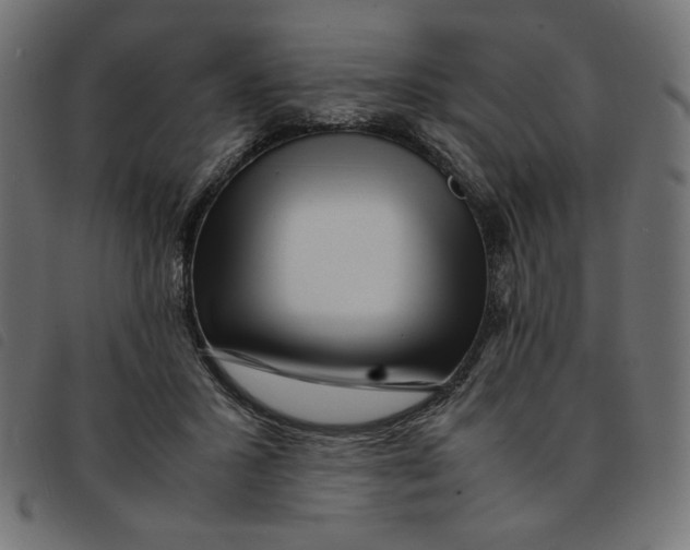 X0000092210407200710121133