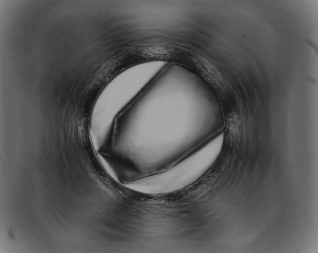 X0000092210408200710121133