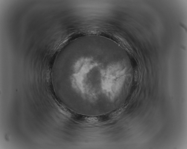 X0000092210409200710121133