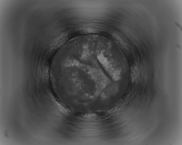 X0000092210410200710121133