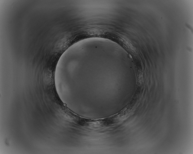 X0000092210411200710121133