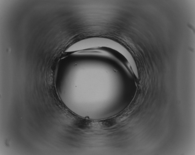 X0000092210413200710121133