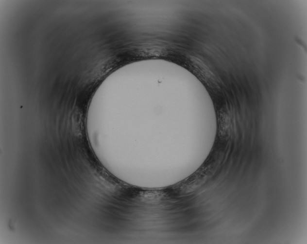 X0000092210414200710121133
