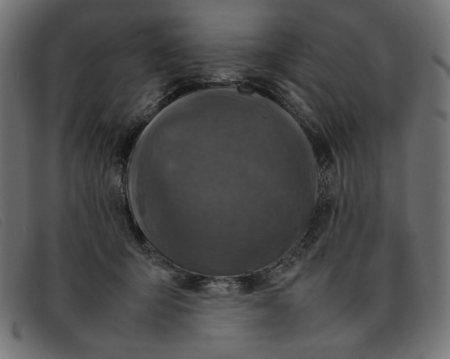X0000092210415200710121133