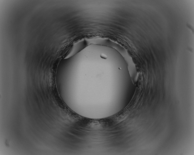X0000092210416200710121133