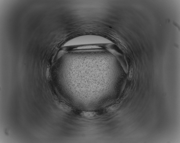 X0000092210417200710121133