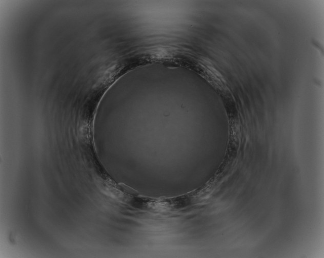 X0000092210419200710121133