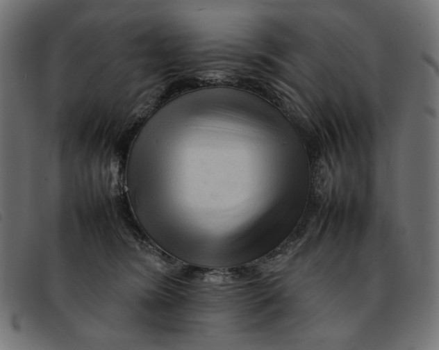 X0000092210420200710121133