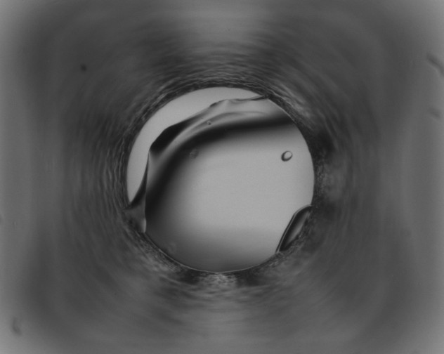 X0000092210421200710121133