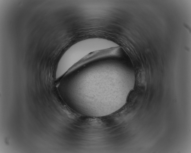 X0000092210424200710121133