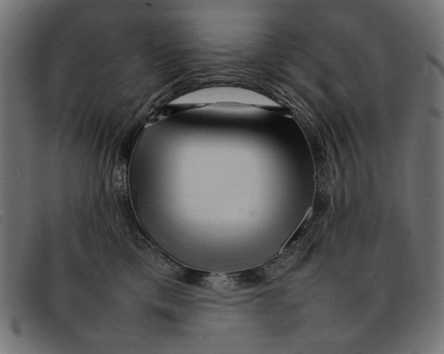 X0000092210425200710121133