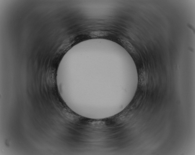 X0000092210426200710121133