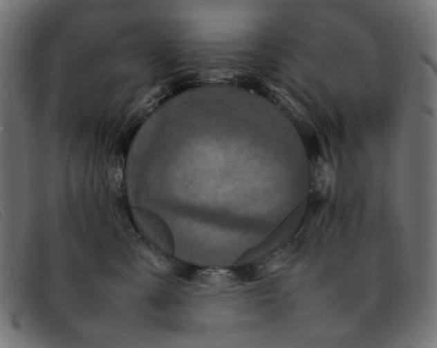 X0000092210427200710121133