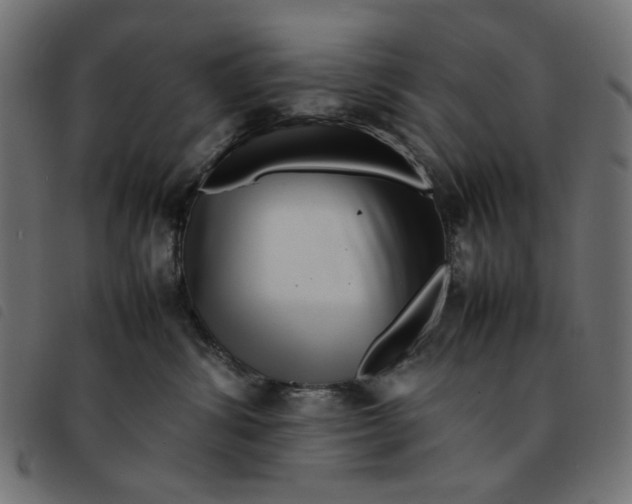 X0000092210428200710121133