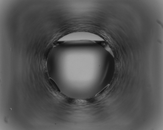 X0000092210429200710121133