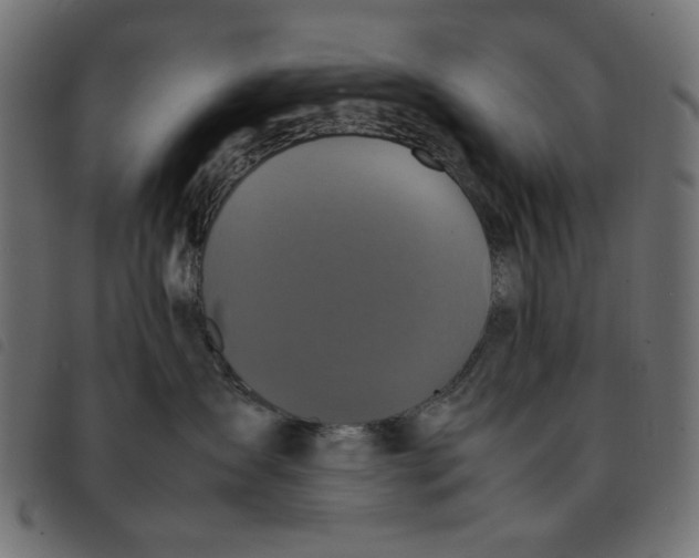 X0000092210431200710121133