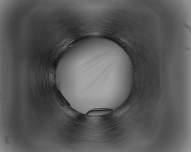 X0000092210432200710121133