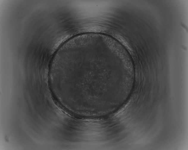 X0000092210434200710121132