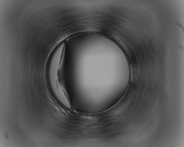 X0000092210435200710121132