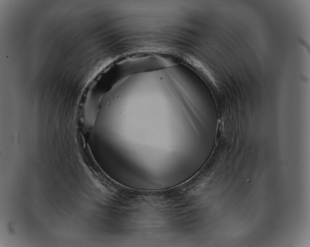 X0000092210436200710121132